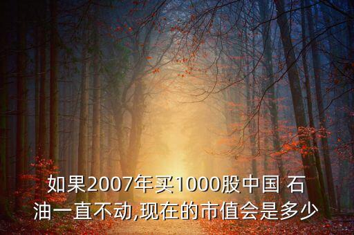 如果2007年買1000股中國 石油一直不動,現(xiàn)在的市值會是多少