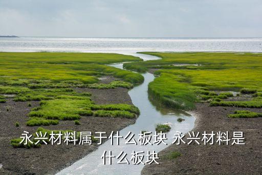 湖州永興特鋼進出口有限公司,永興特鋼新能源科技有限公司