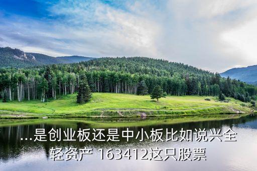 ...是創(chuàng)業(yè)板還是中小板比如說興全輕資產(chǎn) 163412這只股票