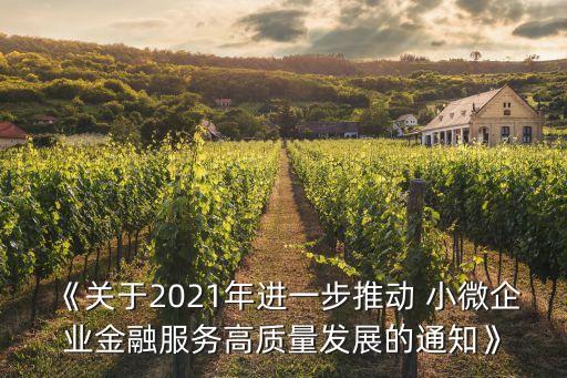 《關(guān)于2021年進(jìn)一步推動 小微企業(yè)金融服務(wù)高質(zhì)量發(fā)展的通知》