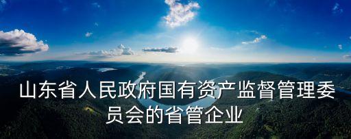  山東省人民政府國有資產(chǎn)監(jiān)督管理委員會(huì)的省管企業(yè)