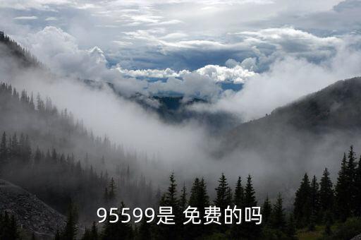 95599是 免費(fèi)的嗎