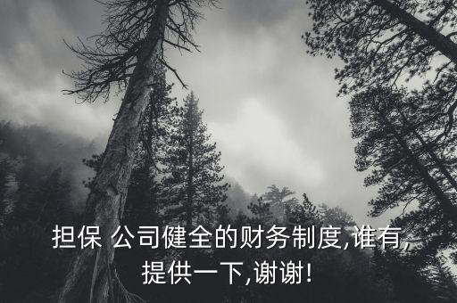  擔保 公司健全的財務制度,誰有,提供一下,謝謝!