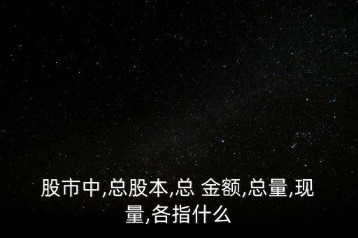 一只股票的總金額,股票的總金額是什么意思