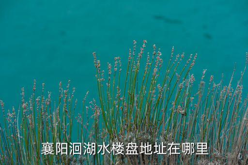  襄陽洄湖水樓盤地址在哪里