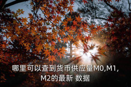 哪里可以查到貨幣供應(yīng)量M0,M1,M2的最新 數(shù)據(jù)