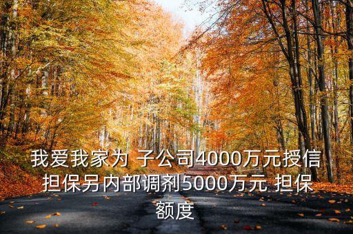 我愛我家為 子公司4000萬元授信 擔(dān)保另內(nèi)部調(diào)劑5000萬元 擔(dān)保額度