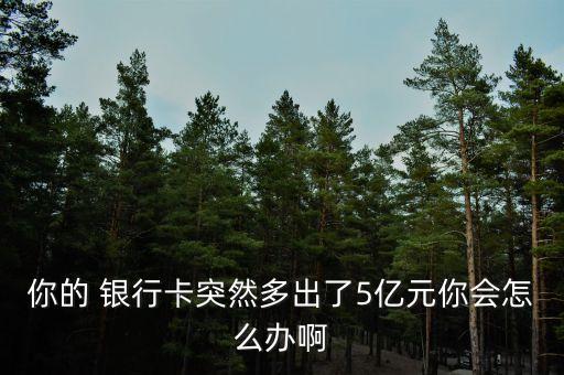 你的 銀行卡突然多出了5億元你會怎么辦啊