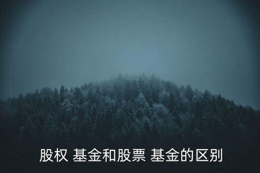 股權(quán)投資基金是什么意思,壹澤股權(quán)投資基金是什么公司