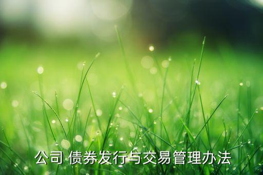  公司 債券發(fā)行與交易管理辦法