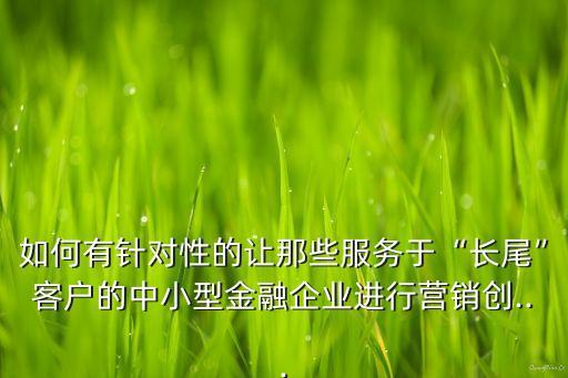 如何有針對(duì)性的讓那些服務(wù)于“長(zhǎng)尾”客戶的中小型金融企業(yè)進(jìn)行營銷創(chuàng)...