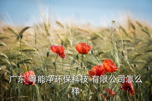 廣東 粵能凈環(huán)保科技 有限公司怎么樣