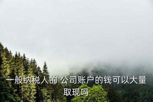 一般納稅人的 公司賬戶(hù)的錢(qián)可以大量取現(xiàn)嗎