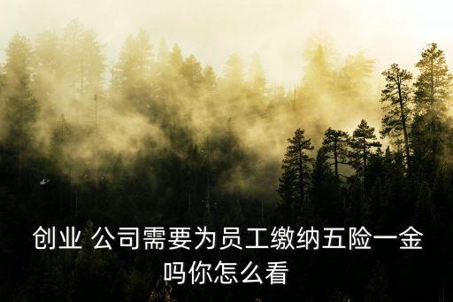  創(chuàng)業(yè) 公司需要為員工繳納五險(xiǎn)一金嗎你怎么看