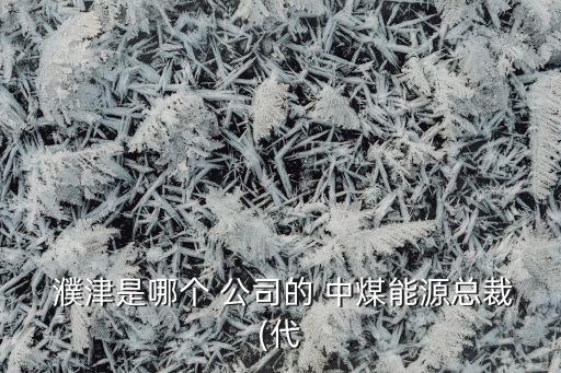  濮津是哪個(gè) 公司的 中煤能源總裁(代