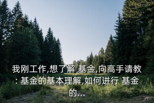 我剛工作,想了解 基金,向高手請教: 基金的基本理解,如何進行 基金的...