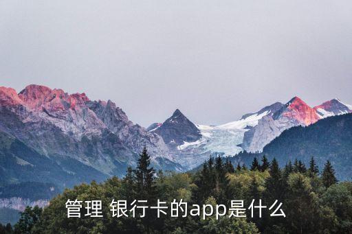 管理 銀行卡的app是什么