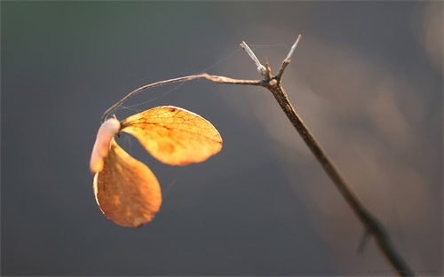 賣水產(chǎn)利潤(rùn)怎么樣,趕集賣海鮮利潤(rùn)怎么樣